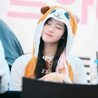 🐹 822d0e45 telegram sticker