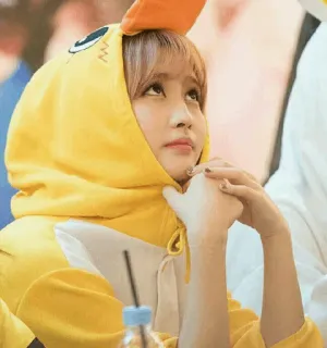 🐤 87638935 telegram sticker