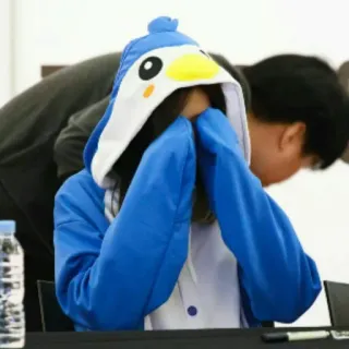 🐧 aeba2125 펭귄, 동물 코스튬, 후드티, 코스프레, 귀여운 telegram sticker