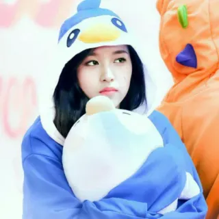 🐧 ecae3918 사람, 펭귄, 귀여운, 코스튬, 동물, 봉제인형, 모자, 후드티 telegram sticker