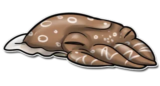 Cuttles telegram stickers