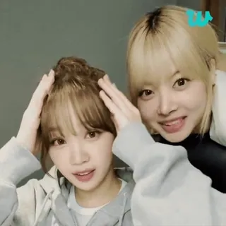 🛹 67899fd1 telegram sticker