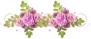 😴 b3dc5921 hoa, hoa hồng, cắm hoa, màu hồng, màu xanh lá cây, lá cây, bó hoa telegram sticker