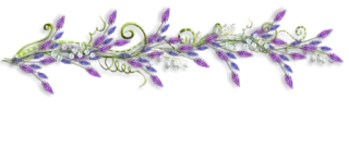 🤔 bb74fbff hoa, hoa lá, viền, tím, hoa oải hương, dây leo, trang trí telegram sticker