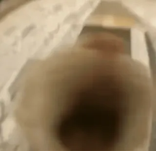 😡 fba2374b whatsapp sticker