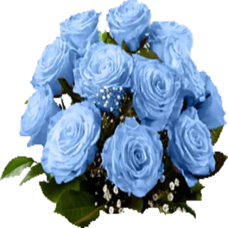 🌺 0617a6a1 花, 玫瑰, 蓝色, 花束, 插花 whatsapp sticker