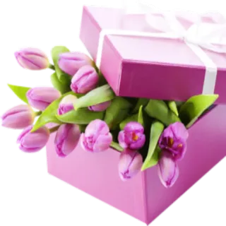 🌺 0f7610d3 花, 礼物, 郁金香, 盒子, 粉色, 花束, 春天, 花卉 whatsapp sticker