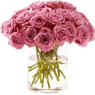 Цветы 2 @StikerDi telegram stickers