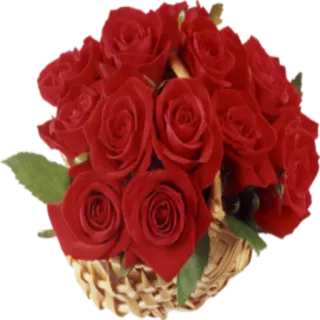 🌺 497d4c4d 玫瑰, 花, 花束, 红玫瑰, 花卉, 礼物, 篮子 whatsapp sticker