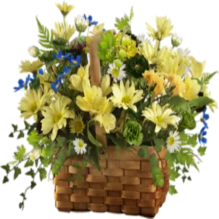 🌺 7afcb008 花, 花束, 篮子, 花艺, 雏菊, 春天, 夏天 whatsapp sticker