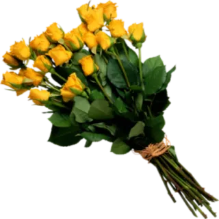 🌺 9eb8299e 黄色玫瑰, 花束, 花, 玫瑰, 浪漫, 自然 whatsapp sticker