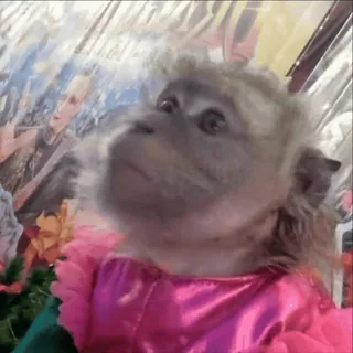 Больше стиков тут: @stikery4 telegram stickers