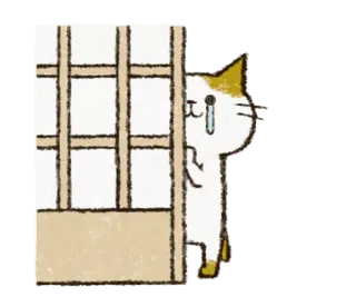 😢 1d6a5812 kot, smutny, płaczący, drzwi, słodki, zwierzę, kawaii telegram sticker