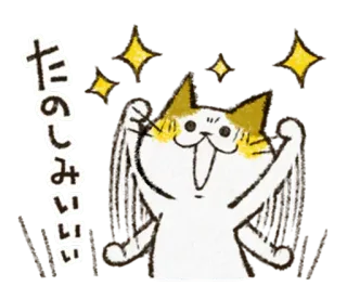 ✨ 78f5ddfe たのしみぃぃ kot, podekscytowany, szczęśliwy, świętowanie, iskierki telegram sticker