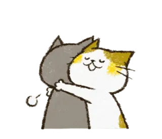 💑 de8d9e21 kot, przytulanie, zwierzę, słodkie, przyjaźń, zwierzę domowe telegram sticker