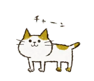 🐈 e23079c1 チャオーー kot, słodki, zwierzę, naklejka, chao, japoński telegram sticker