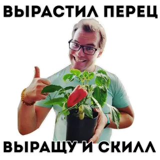 😋 ae80cfb9 ВЫРАСТИЛ ПЕРЕЦ
ВЫРАЩУ И СКИЛЛ pria, lada, tanaman, berkebun, pertanian, jempol ke atas, keterampilan whatsapp sticker