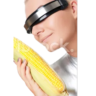 🌽 49a797c7 mulher, milho, comida, tecnologia, futurista, viseira telegram sticker