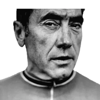 😒 077369bc 脸, 肖像, 自行车手, 自行车, 男人, 黑白 telegram sticker