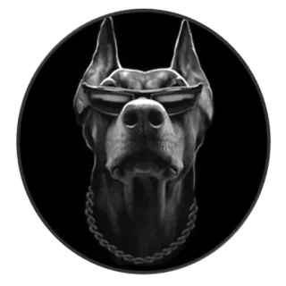😎 61ed6627 anjing, doberman, kacamata hitam, rantai, keren, binatang, hewan peliharaan telegram sticker