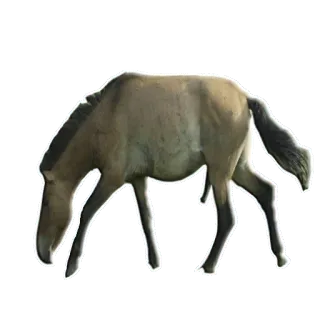 Цыганопак telegram stickers