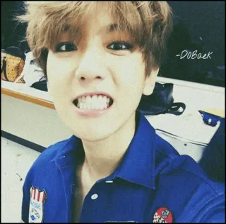 🌪 39eae9ca -DOBack whatsapp sticker