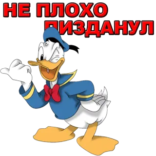 👍 1b66942c Donald Duck НЕ ПЛОХО ПИЗДАНУЛ donald duck, ofensivo, desenho animado, disney whatsapp sticker