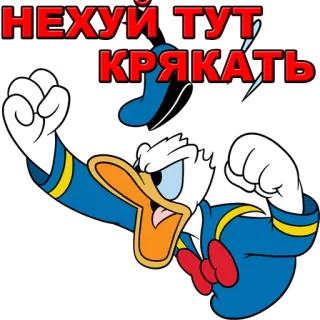😒 fc74cade Donald Duck НЕХУЙ ТУТ КРЯКАТЬ Pato Donald, Desenho animado, Bravo, Ofensivo, Russo, Meme whatsapp sticker