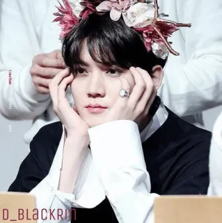 ✨ 78b9ef2e D_BLACKRIM คน, ภาพเหมือน, มงกุฎดอกไม้, ผู้ชาย, ผู้ชาย telegram sticker