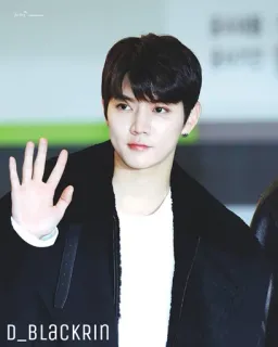 For D_BLACKRIN ✨ telegram stickers