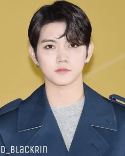 ✨ dceeb08a D_BLACKRIN kpop, ผู้ชาย, ภาพเหมือน, ไอดอล telegram sticker