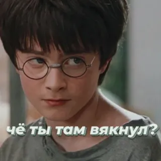 😠 0ec5f62c Harry Potter чё ты там вякнул? harry potter, russian, meme, humor telegram sticker