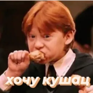 🙃 72437531 Ron Weasley Harry Potter Хочу кушац food, eating, funny, meme, harry potter, ron weasley telegram sticker
