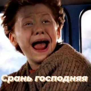 гп, а что?⚡🍺 telegram stickers