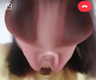 🦟 83cb7b16 telegram sticker