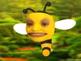 🐝 fc589972 ong, động vật, côn trùng, hài hước, lai, khuôn mặt telegram sticker