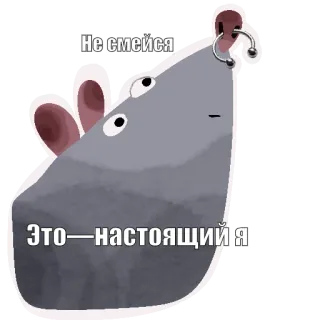 Да, я крыса ||| @rsvt_art telegram stickers