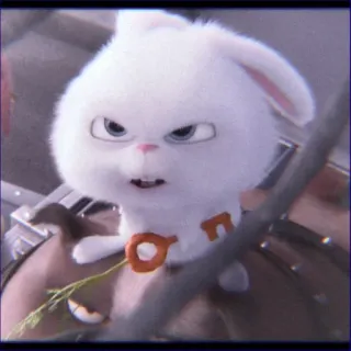 🤨 0f66ddba Snowball The Secret Life of Pets królik, zwierzę, kreskówka, słodki, zwierzak, animowany, zajączek whatsapp sticker