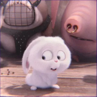 🙊 18d8c45e Snowball The Secret Life of Pets królik, słodki, kreskówka, zwierzę, animowany, uroczy whatsapp sticker