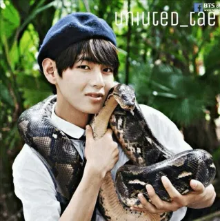 💎 85f24f4c UNWUCED_tae person, snake, boa, reptile, pet, python whatsapp sticker