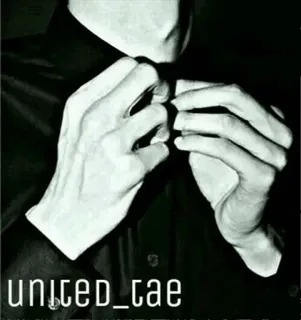 🦄 c349de3c united_tae whatsapp sticker