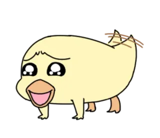 😽 0e5643f2 telegram sticker