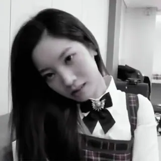 🐚 bf9ef4da telegram sticker