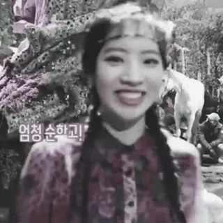 🐚 ed63ae4b 엄청 순하고! 한국인, 여자, 미소, 초상화 telegram sticker