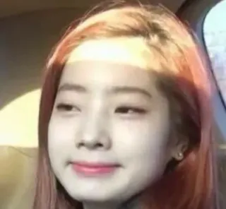 🐒 19cb1884 telegram sticker