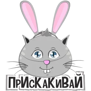 🐰 4e372f3d ПРИСКАКИВАЙ แมว, หูกระต่าย, การ์ตูน, สัตว์, สติกเกอร์, ข้อความรัสเซีย telegram sticker