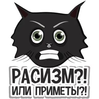🤔 c07ff9ee РАСИЗМ?! ИЛИ ПРИМЕТЫ?! แมว, สติกเกอร์, แมวดำ, รัสเซีย, เหยียดเชื้อชาติ, ความเชื่อโชคลาง, มีม telegram sticker