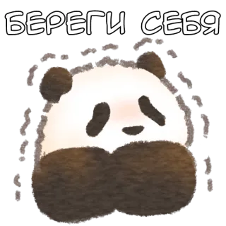 🥺 264509bd БЕРЕГИ СЕБЯ Panda, Dier, Schattig, Beer whatsapp sticker