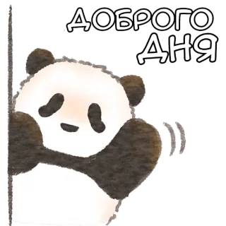 👋 5362c76b ДОБРОГО ДНЯ Panda, Groet, Goede dag, Dier, Schattig whatsapp sticker