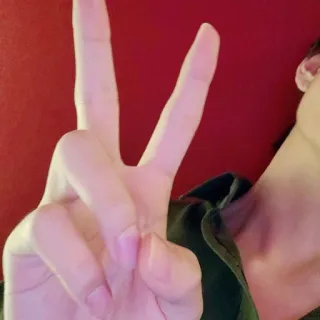 ✌ b124c741 frieden, sieg, finger, geste, hand telegram sticker